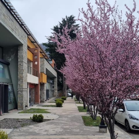 Spring