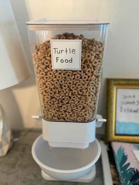 Selah House in Saint Simons Island