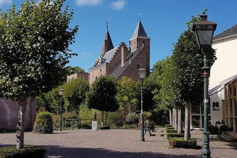 Lovely Studio with Patio and Garden House in Burgh-Haamstede