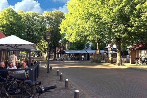 Lovely Studio with Patio and Garden House in Burgh-Haamstede