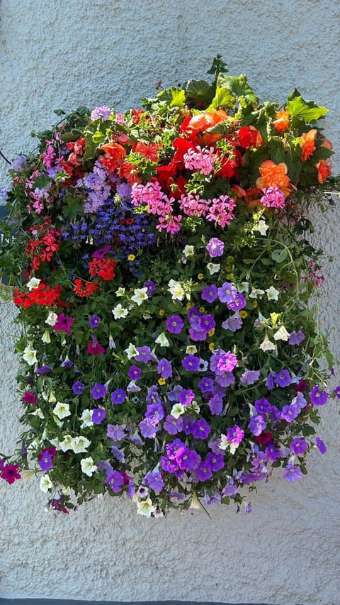 Madelines Accommodation Bed and Breakfast in Wicklow, Co. Wicklow, Ireland