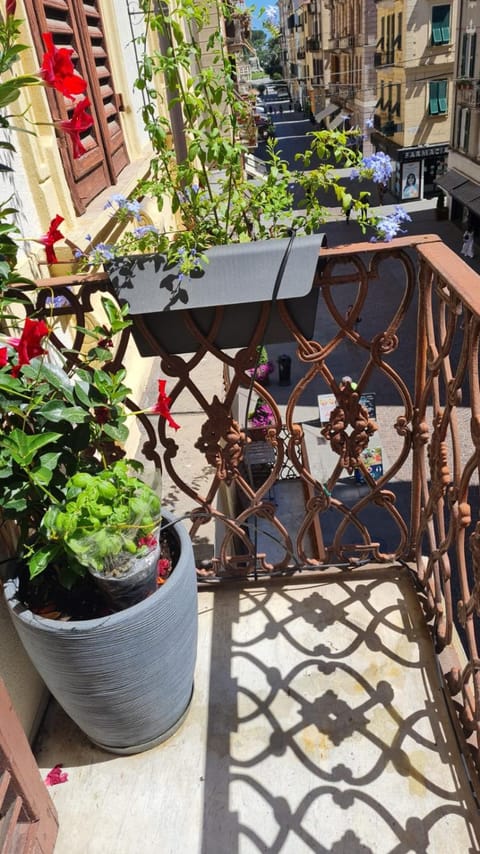 Grandmas 5 terre House in La Spezia