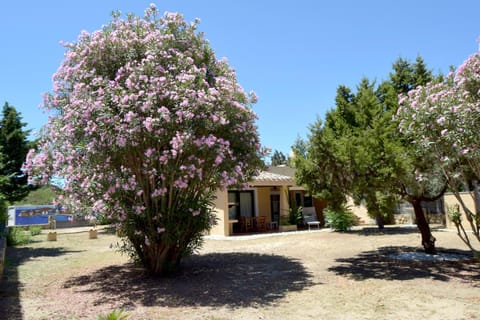 Day, Natural landscape, Garden