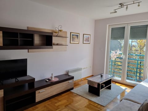 Studio apartman Zvezdana Noć Apartment in Serbia