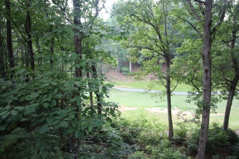 Fairway Getaway House in Helen