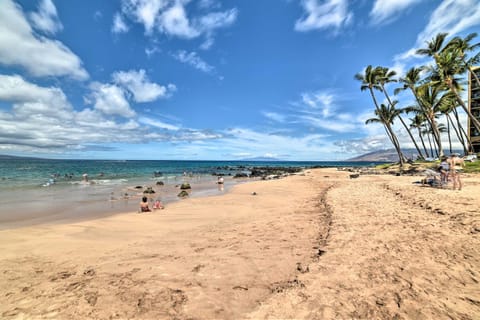 Luxury Oceanfront Mana Kai Resort Condo Apartment in Wailea