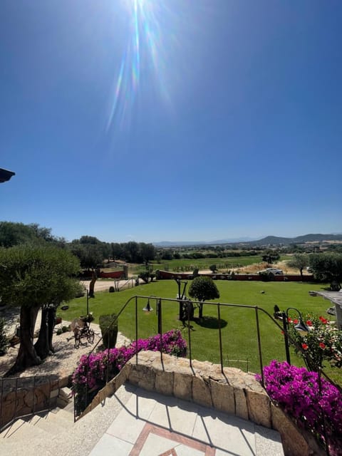 Natural landscape, Garden