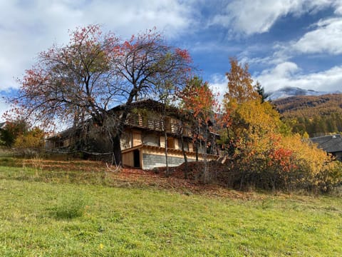 Property view