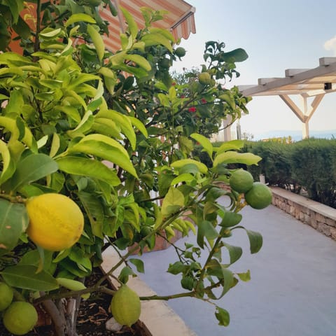 Apartments Dobrila Bed and Breakfast in Dubrovnik-Neretva County