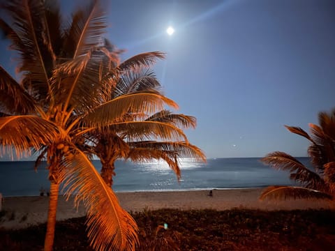 Beach, Sea view