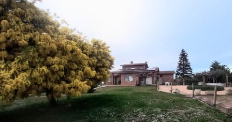 Property building, Garden, Garden view