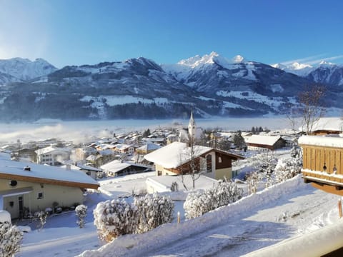 Winter, View (from property/room)
