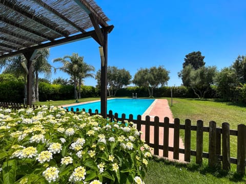 Garden, Swimming pool