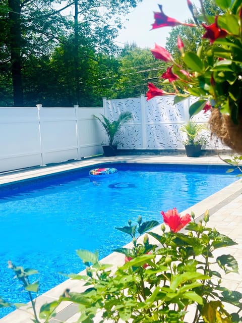 Swimming pool, Swimming pool