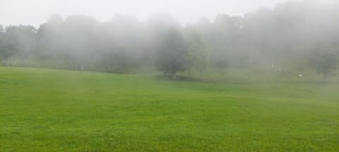 Bamerhof Haus Steger Apartment in Salzburgerland