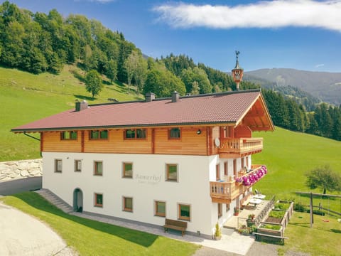 Bamerhof Haus Steger Apartment in Salzburgerland