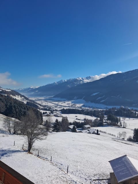 Bamerhof Haus Steger Apartment in Salzburgerland