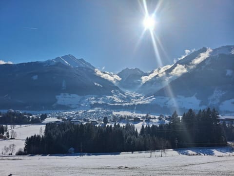 Bamerhof Haus Steger Apartment in Salzburgerland