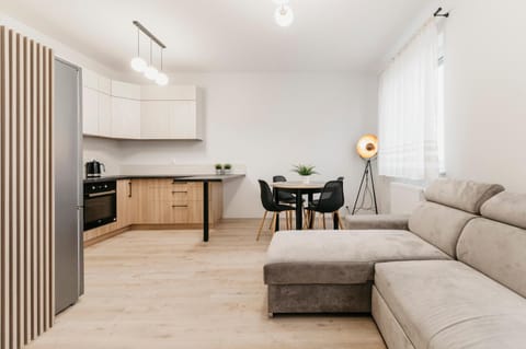 Kitchen or kitchenette, Living room, Seating area, Dining area