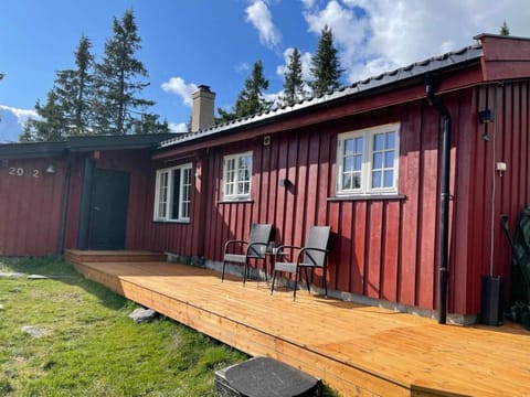 Property building, Day