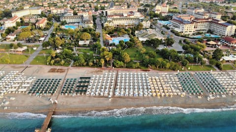 Bird's eye view, Beach