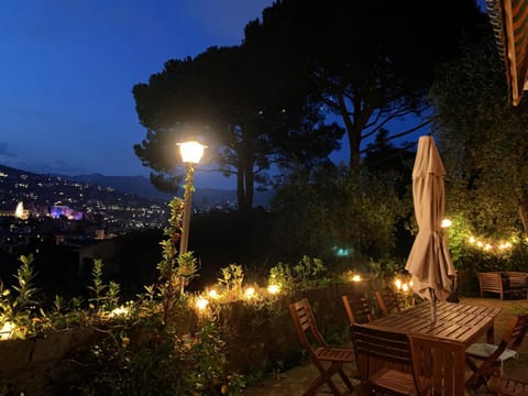 Night, Garden, Garden view