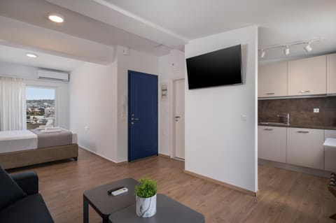 TV and multimedia, Kitchen or kitchenette, Living room, Photo of the whole room, Seating area, Bedroom