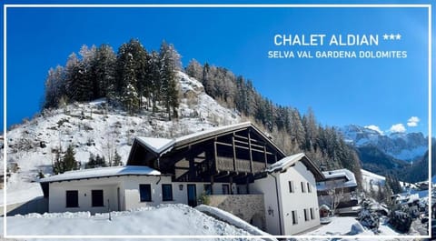 Chalet Aldian Dolomites Apartment in Sëlva