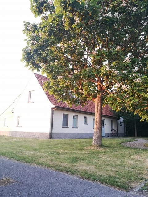 B&B De Pethaan Bed and Breakfast in Flanders