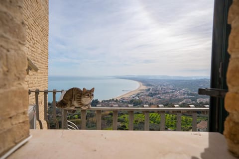 La Loggia della Gatta Apartment in Vasto