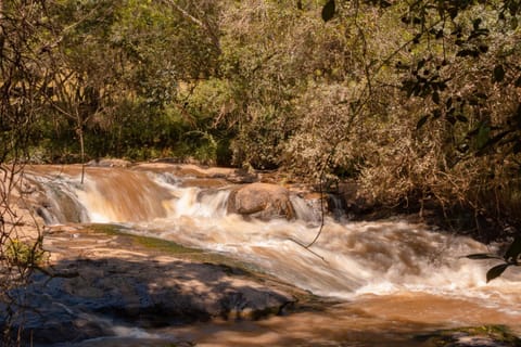Natural landscape, River view