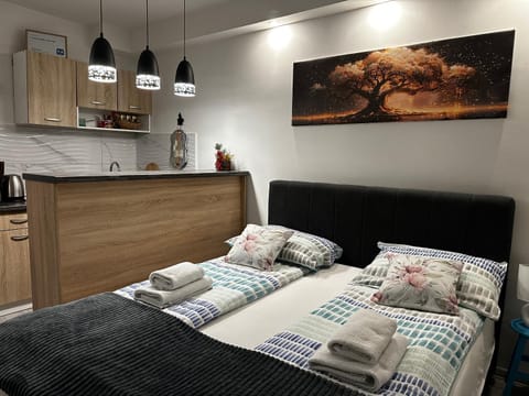 Bed, Kitchen or kitchenette, Bedroom