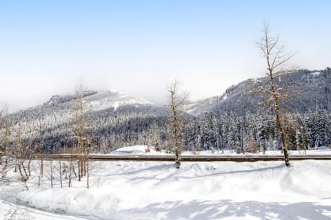 Summit Chalet House in Snoqualmie Pass
