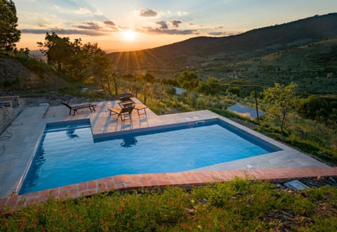 fringuello - Mandorlo House in Umbria