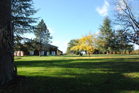 Property building, Garden view