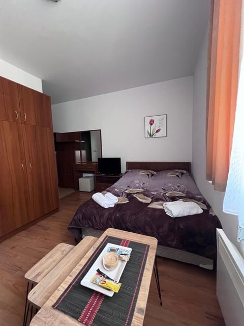 Kalina Apartment's in Bansko Apartment in Bansko