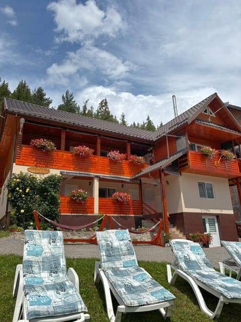 Property building, sunbed