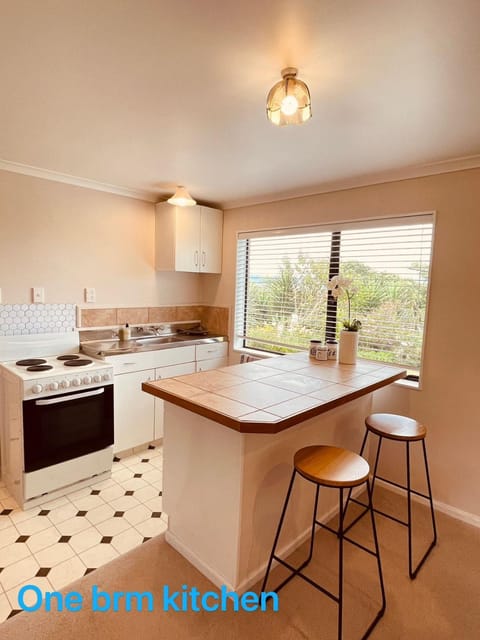 Kitchen or kitchenette, kitchen