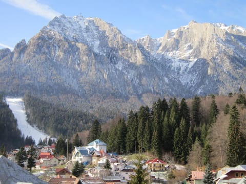Day, Natural landscape