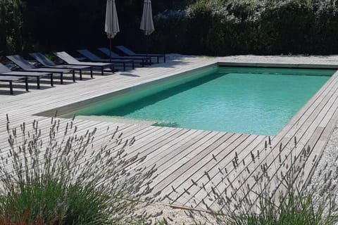 Garden, Pool view, sunbed