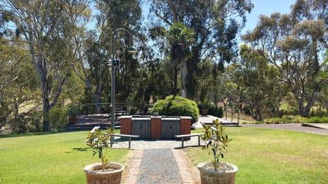 Natural landscape, Garden, Garden view