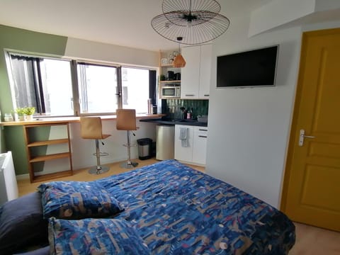 Bed, TV and multimedia, Kitchen or kitchenette, Photo of the whole room, Seating area, Dining area, Bedroom, oven