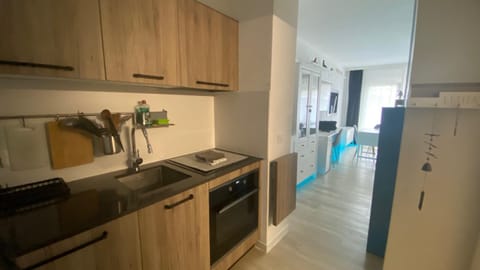 Studio 4pers aux Bains de Saillon Apartment in Canton of Valais