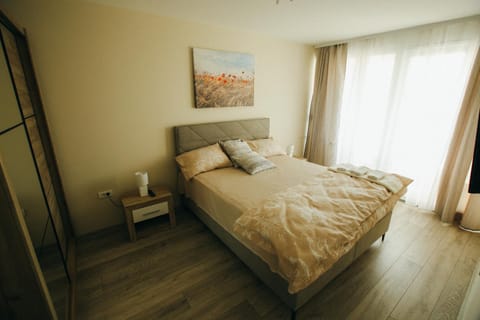 Apartman Lazaro Cacak Apartment in Serbia