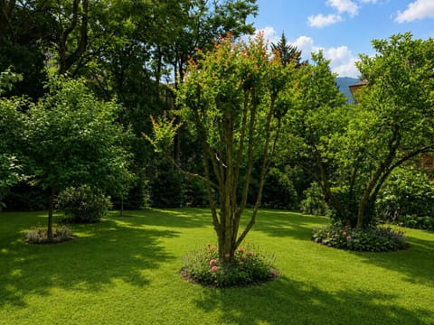 Natural landscape, Garden