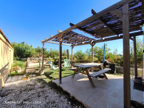 Patio, Garden, Garden view, sunbed