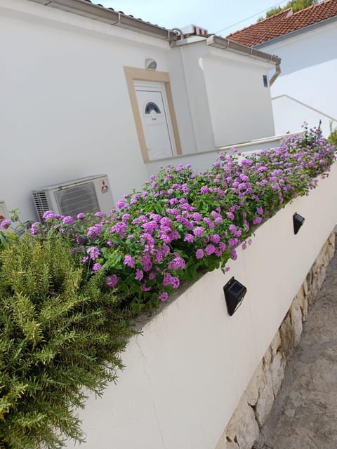 Sunny beach apartment Lavica Apartment in Podstrana