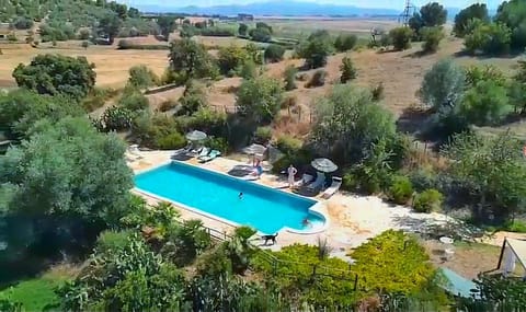 Spring, Natural landscape, Bird's eye view, Garden, Garden view, Pool view, Swimming pool, sunbed
