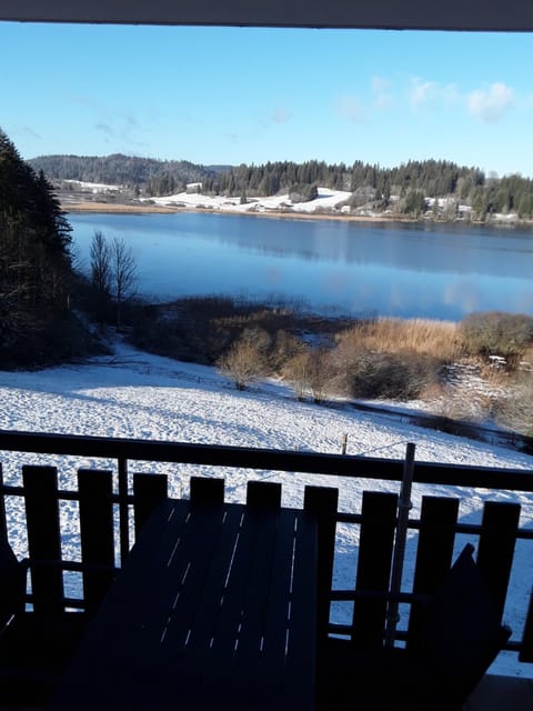Les balcons du lac Apartment in Canton of Vaud