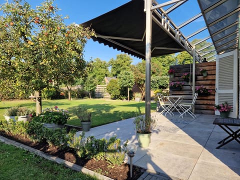 Property building, Garden, Garden view